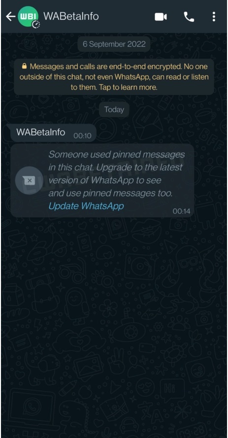 WhatsApp pinned messages