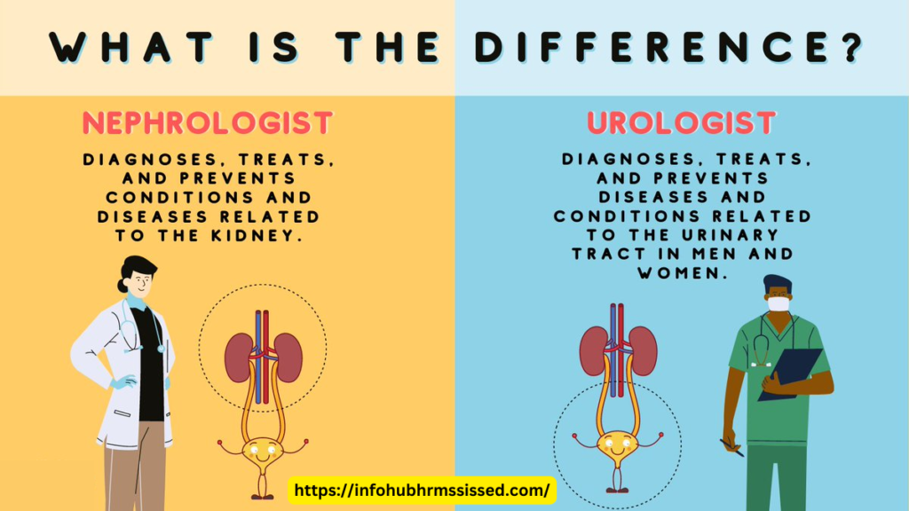 Difference between a nephrologist and a urologist