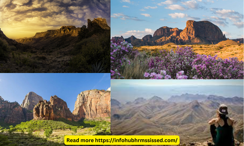 Embrace Nature's Majesty at Big Bend National Park