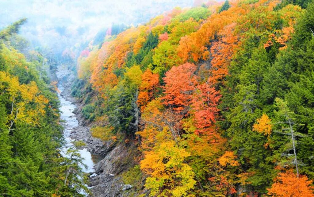 Explore the Quechee Gorge