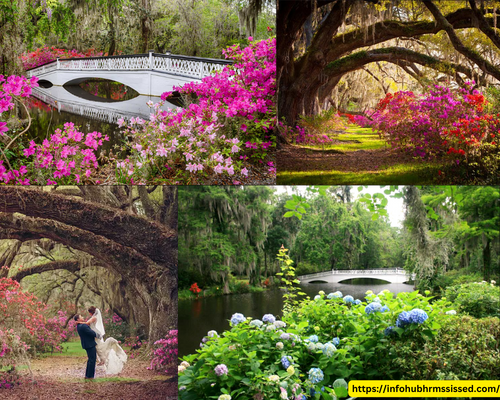 Magnolia Plantation and Gardens