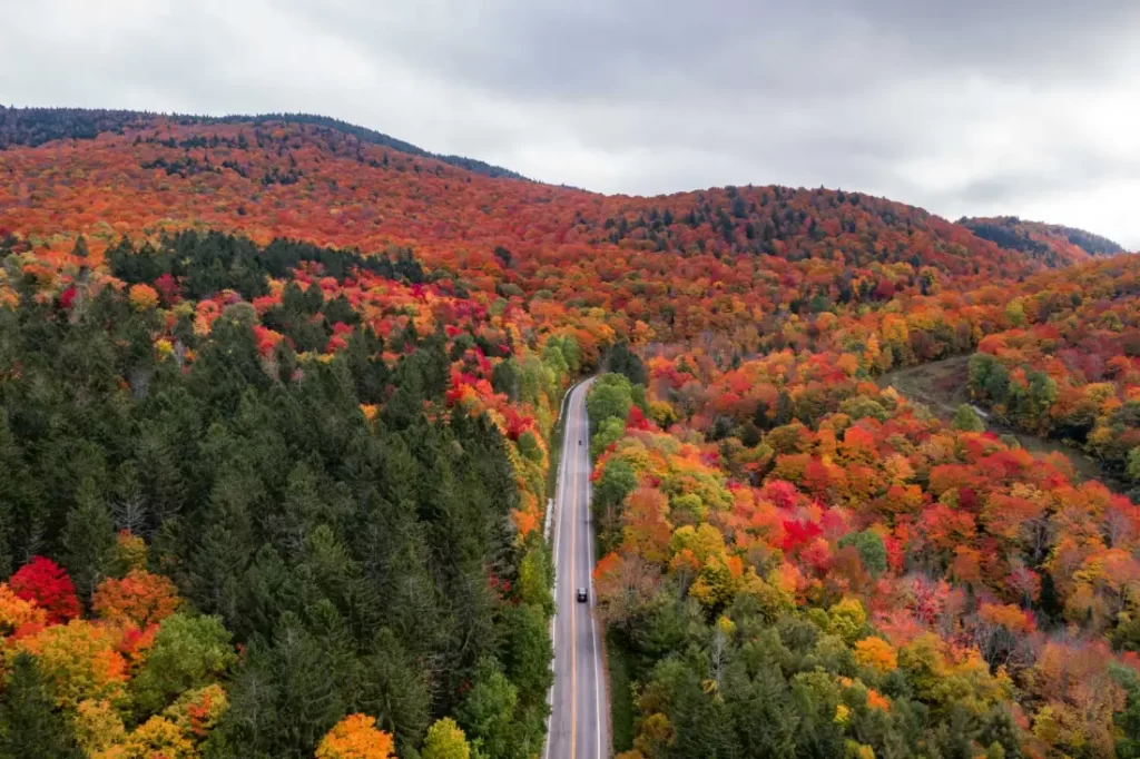 Unwind in the Green Mountain National Forest