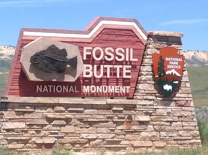 Geological Marvels at Fossil Butte National Monument