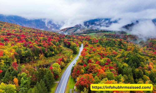 the Spectacle of Fall Foliage Vermont