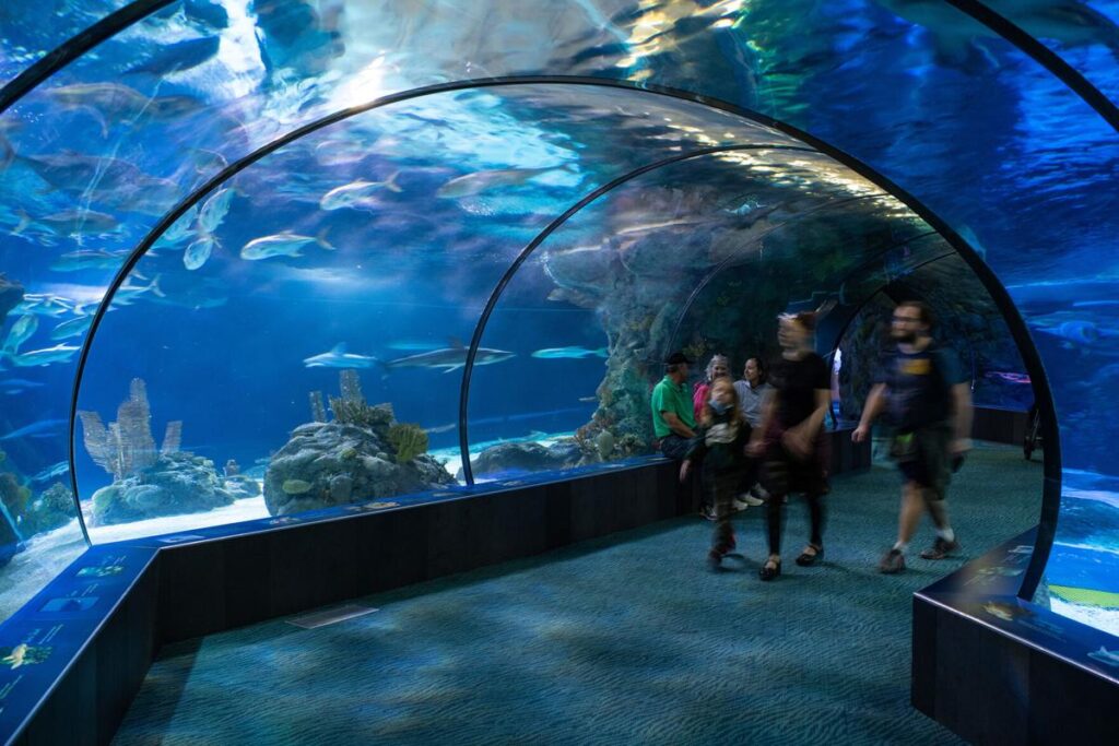 Omaha's Henry Doorly Zoo and Aquarium