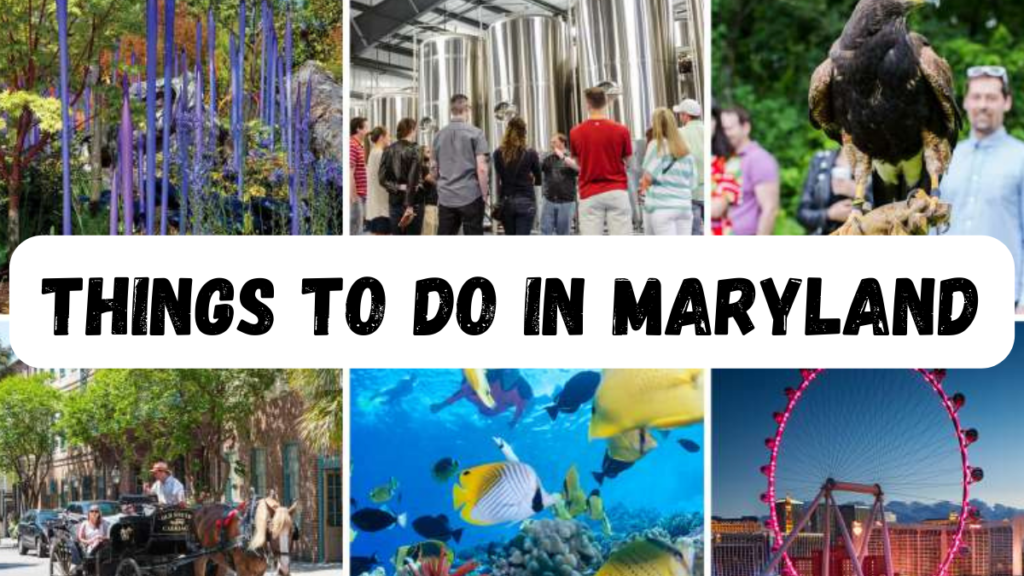 Things To Do In Maryland - Info Hub Inn🕍