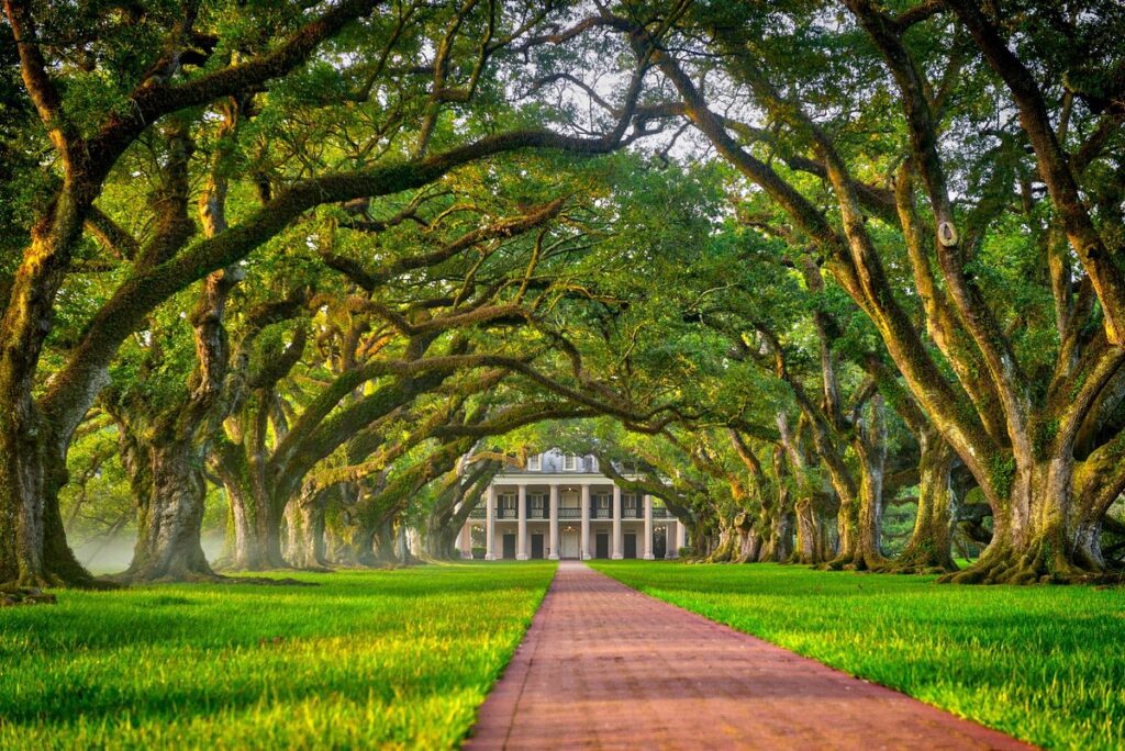 Oak Alley Plantation