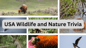 usa wildlife and nature trivia