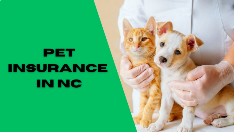 pet insurance